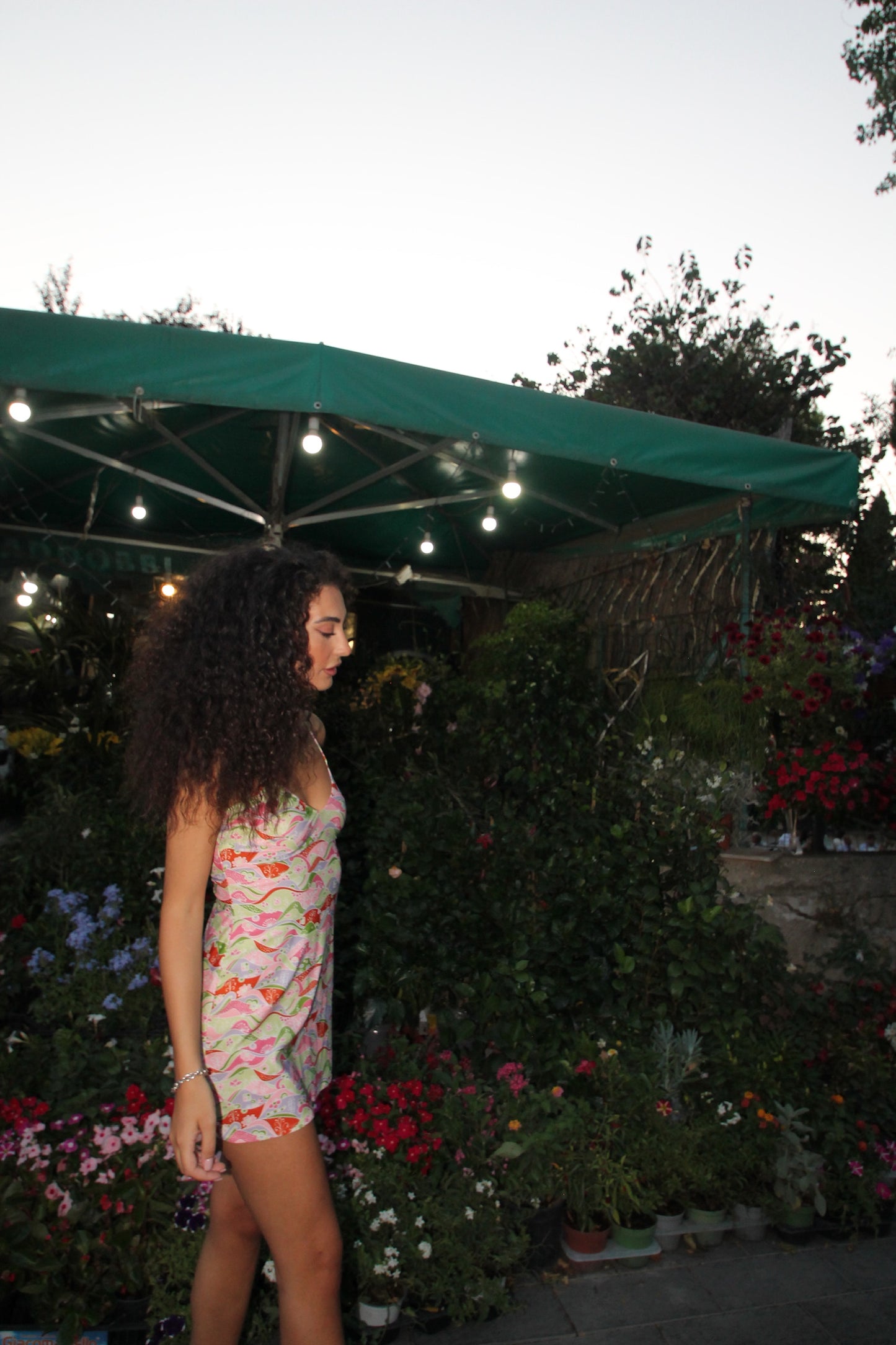 Daisy Mini dress